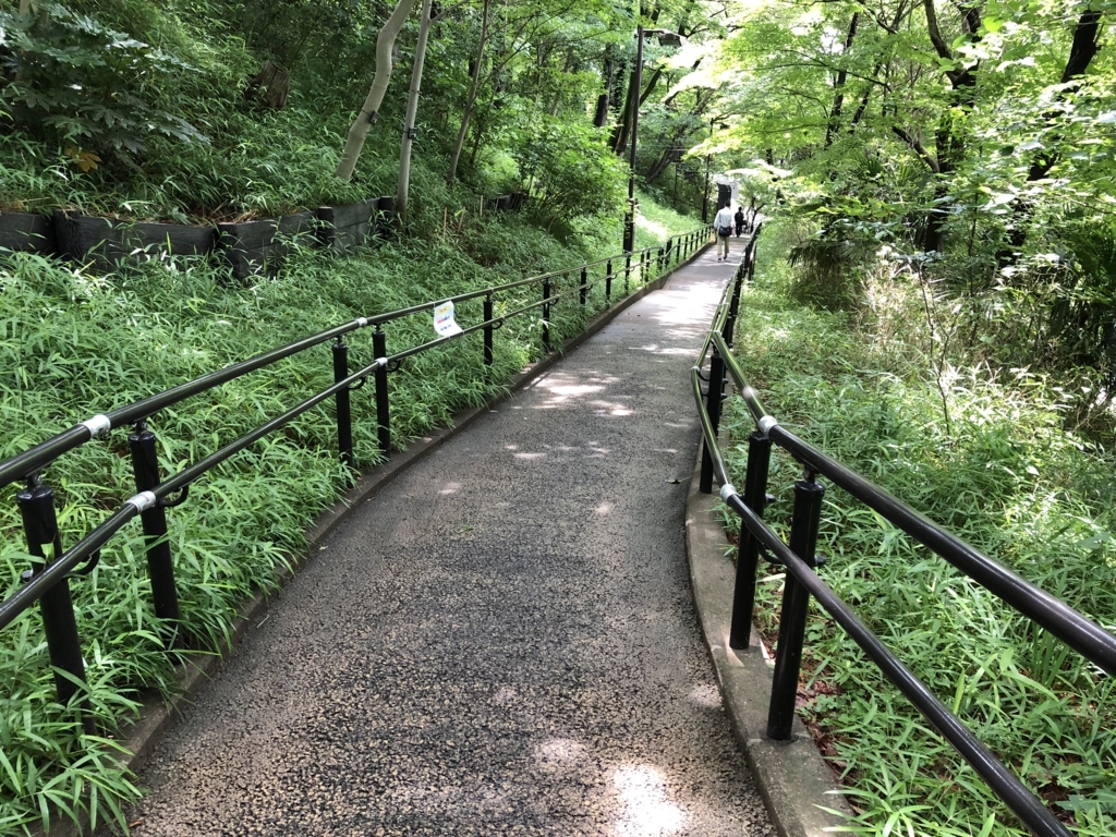 f:id:hideki-sansho:20180607183529j:plain f:id:hideki-sansho:20180607183529j:plain