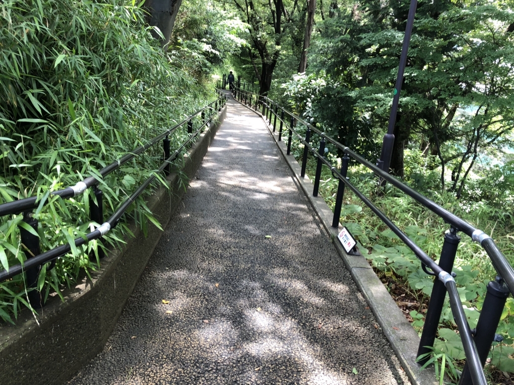 f:id:hideki-sansho:20180607183608j:plain f:id:hideki-sansho:20180607183608j:plain