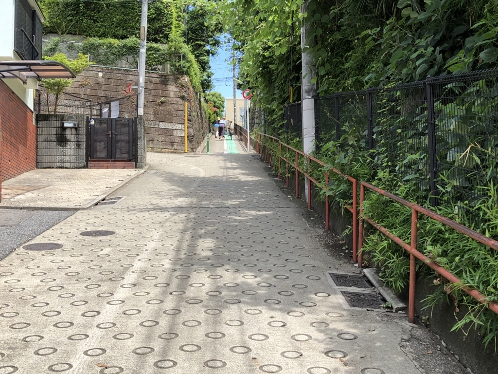 f:id:hideki-sansho:20180607184900j:plain f:id:hideki-sansho:20180607184900j:plain