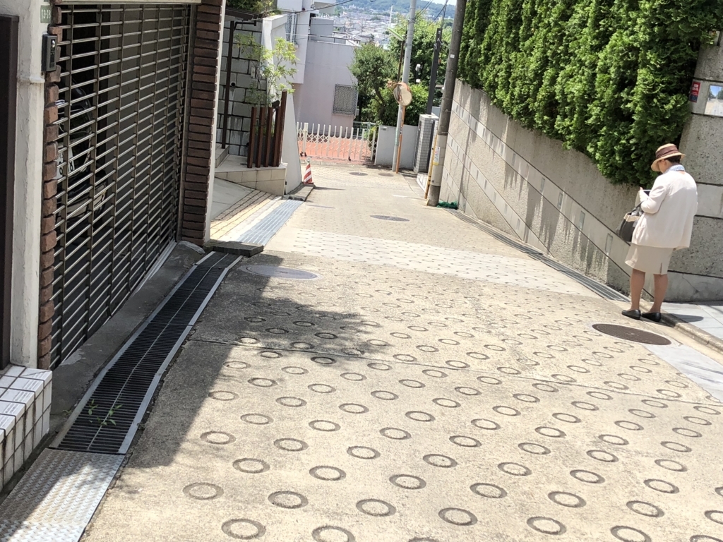 f:id:hideki-sansho:20180607185152j:plain f:id:hideki-sansho:20180607185152j:plain