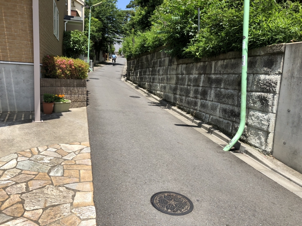 f:id:hideki-sansho:20180607185841j:plain f:id:hideki-sansho:20180607185841j:plain
