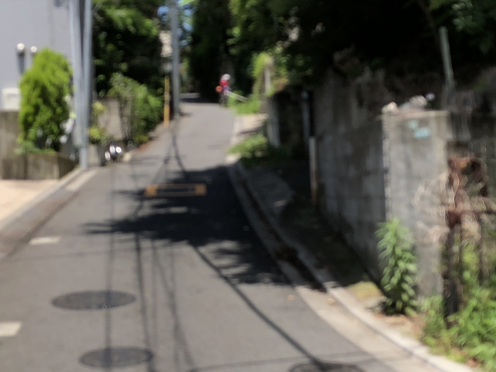 f:id:hideki-sansho:20180607185855j:plain f:id:hideki-sansho:20180607185855j:plain