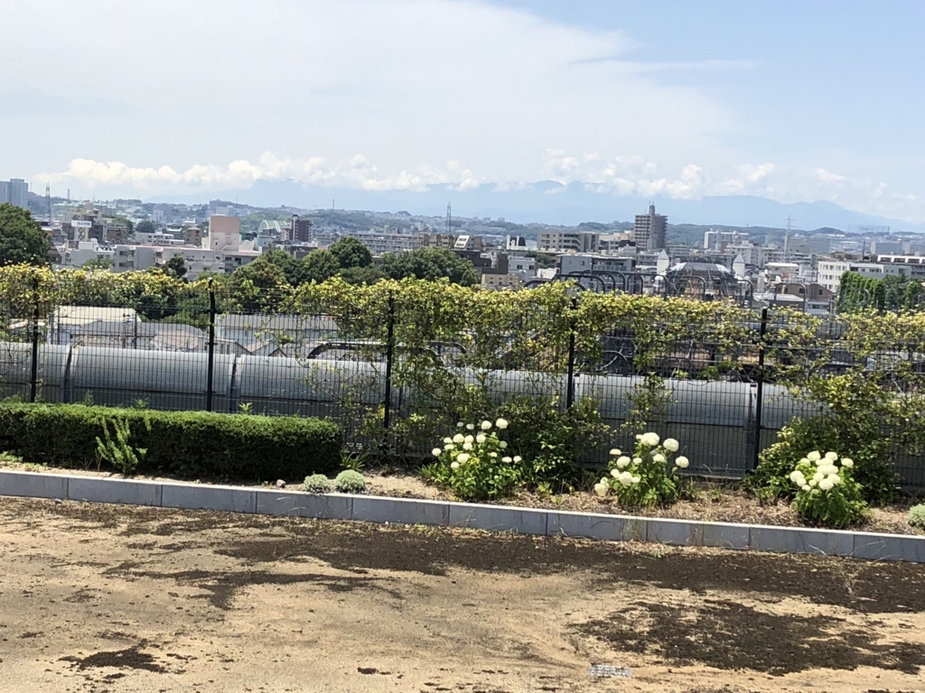 f:id:hideki-sansho:20180607190904j:plain
