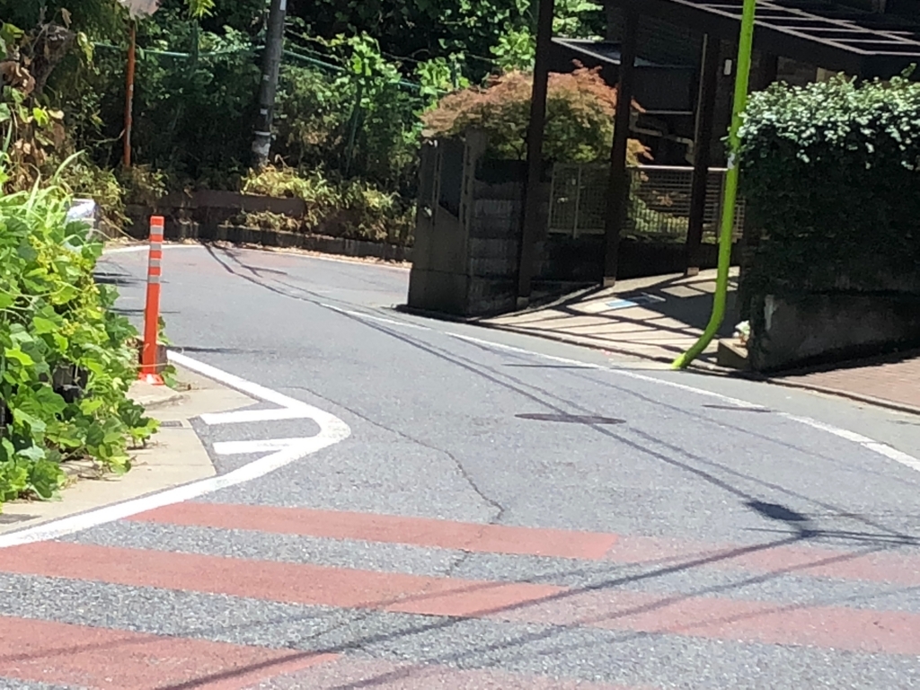 f:id:hideki-sansho:20180607191248j:plain f:id:hideki-sansho:20180607191248j:plain