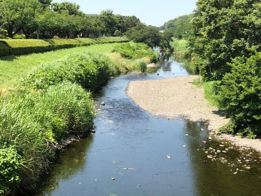 f:id:hideki-sansho:20180607192241j:plain f:id:hideki-sansho:20180607192241j:plain