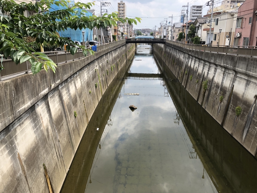 f:id:hideki-sansho:20180609190218j:plain f:id:hideki-sansho:20180609190218j:plain