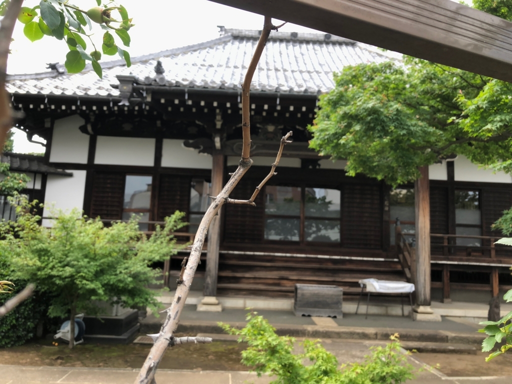 f:id:hideki-sansho:20180609190909j:plain f:id:hideki-sansho:20180609190909j:plain