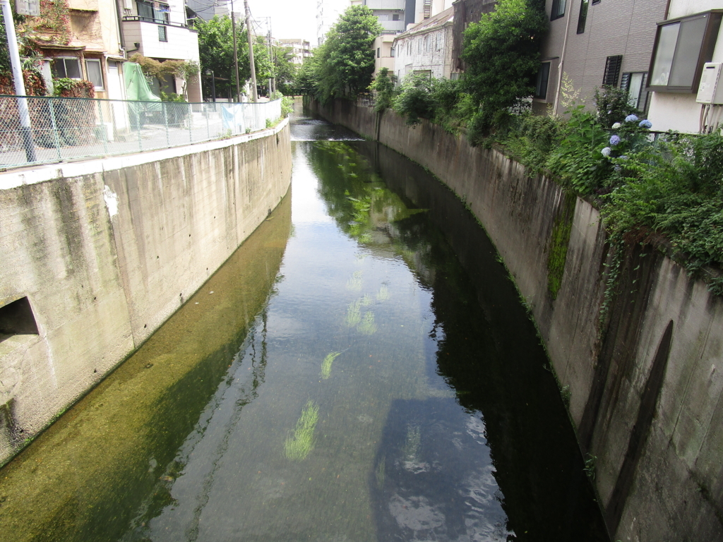 f:id:hideki-sansho:20180613160602j:plain f:id:hideki-sansho:20180613160602j:plain