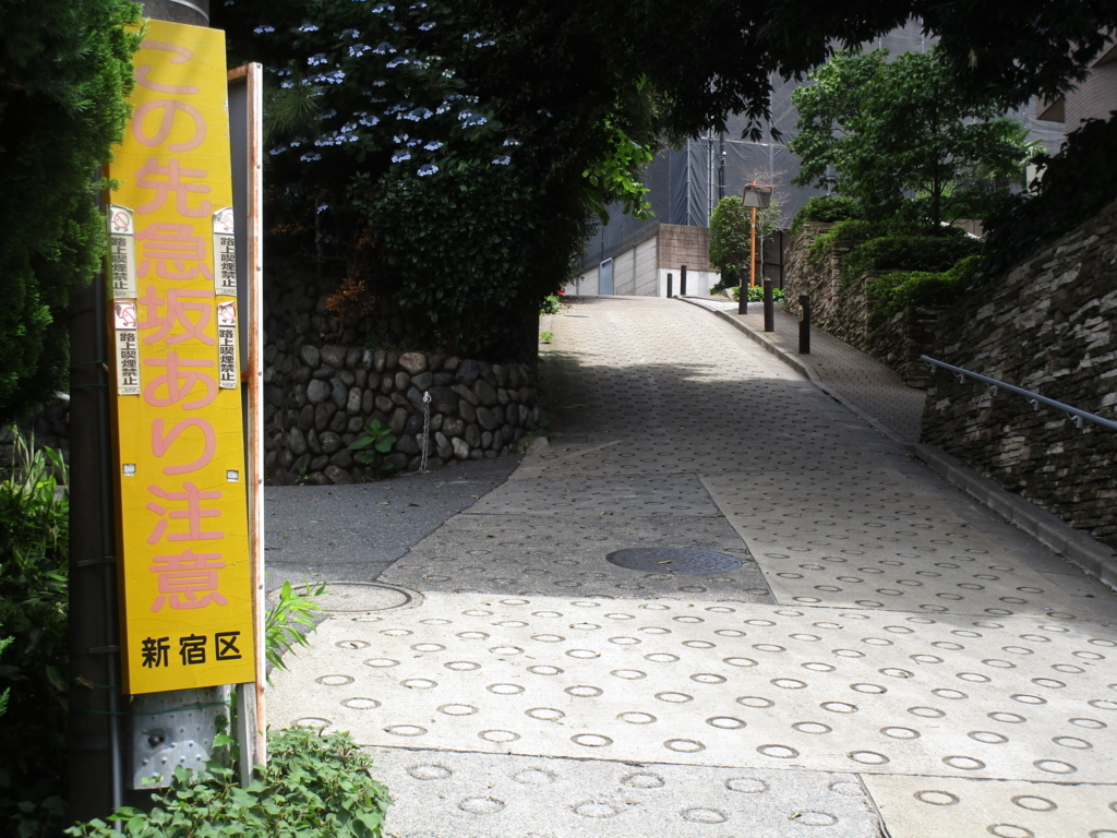 f:id:hideki-sansho:20180613161638j:plain f:id:hideki-sansho:20180613161638j:plain