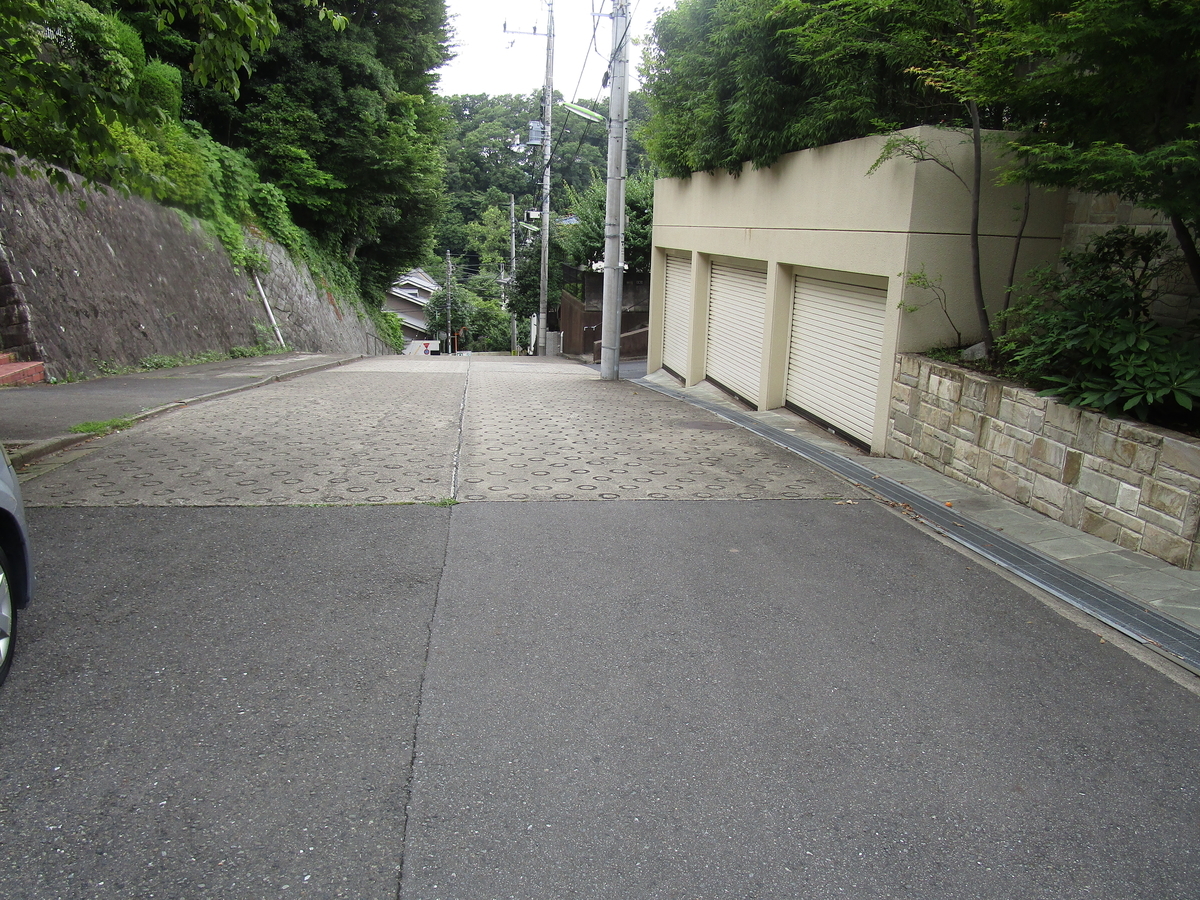 f:id:hideki-sansho:20180617112011j:plain f:id:hideki-sansho:20180617112011j:plain