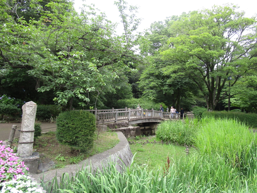 f:id:hideki-sansho:20180617164505j:plain f:id:hideki-sansho:20180617164505j:plain