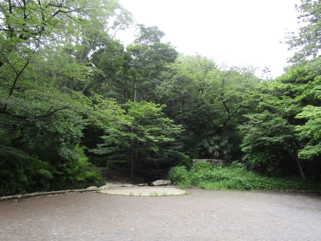 f:id:hideki-sansho:20180617164532j:plain f:id:hideki-sansho:20180617164532j:plain