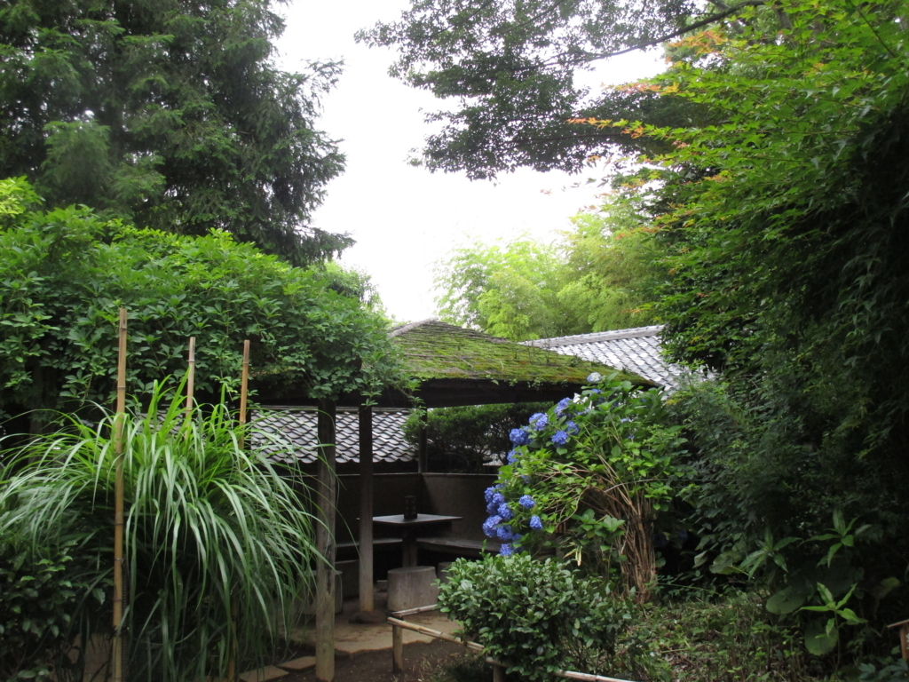 f:id:hideki-sansho:20180617165043j:plain f:id:hideki-sansho:20180617165043j:plain