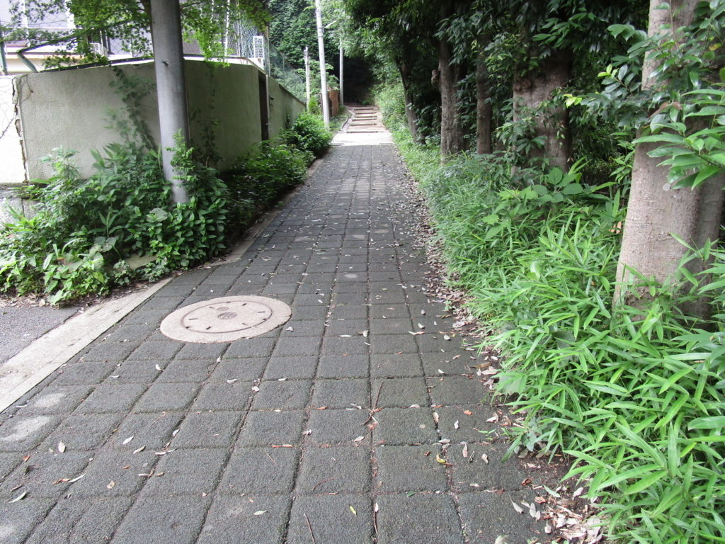 f:id:hideki-sansho:20180617165610j:plain f:id:hideki-sansho:20180617165610j:plain