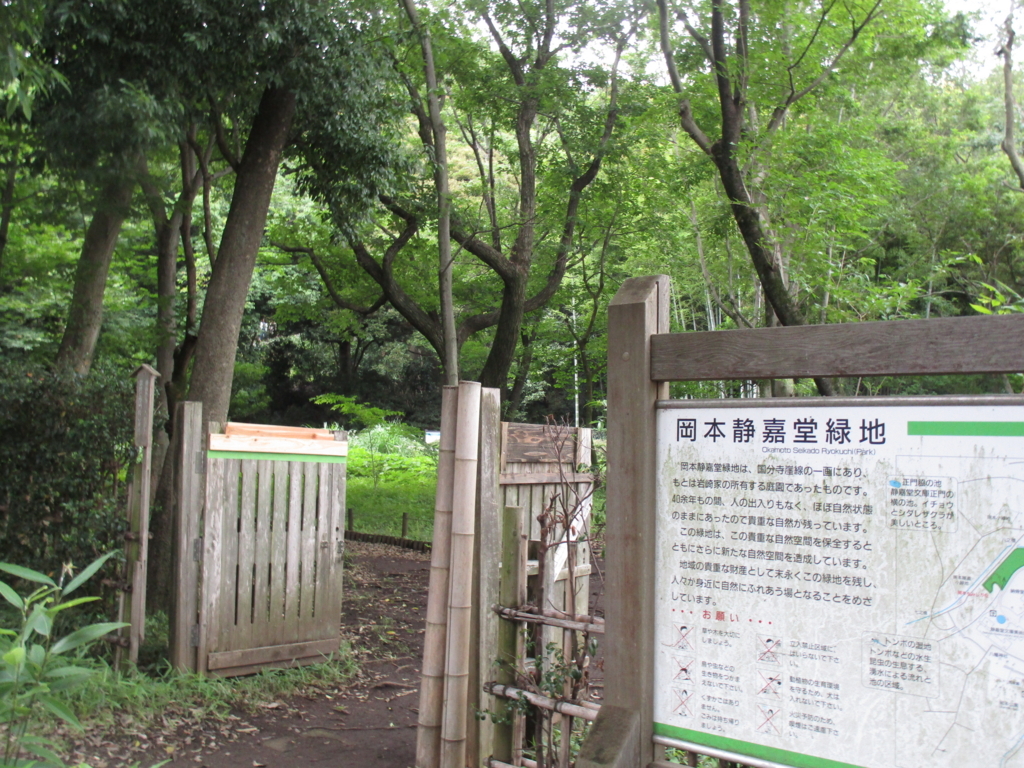 f:id:hideki-sansho:20180617170315j:plain f:id:hideki-sansho:20180617170315j:plain