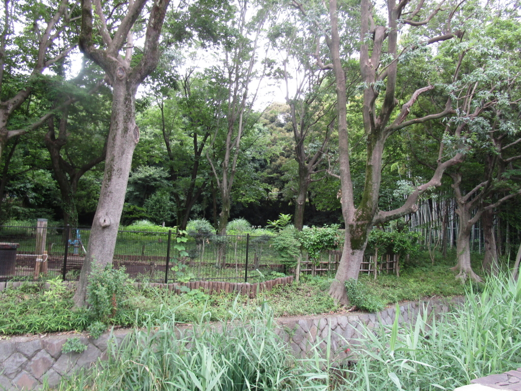 f:id:hideki-sansho:20180617170416j:plain f:id:hideki-sansho:20180617170416j:plain