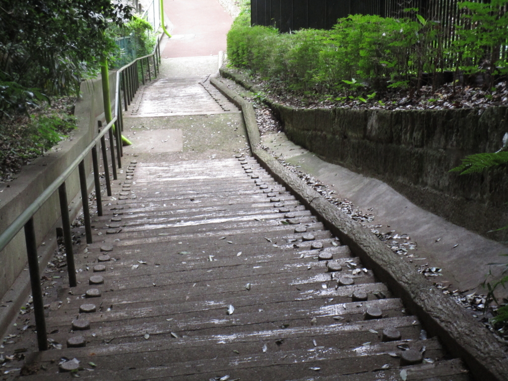 f:id:hideki-sansho:20180617172530j:plain f:id:hideki-sansho:20180617172530j:plain