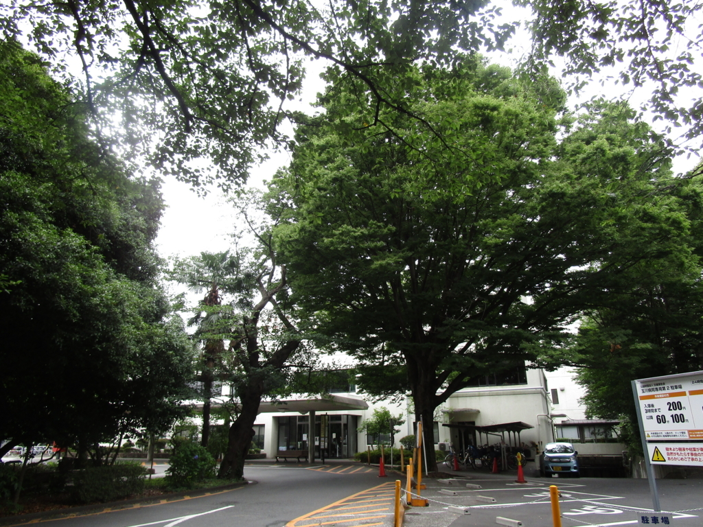 f:id:hideki-sansho:20180617173522j:plain f:id:hideki-sansho:20180617173522j:plain