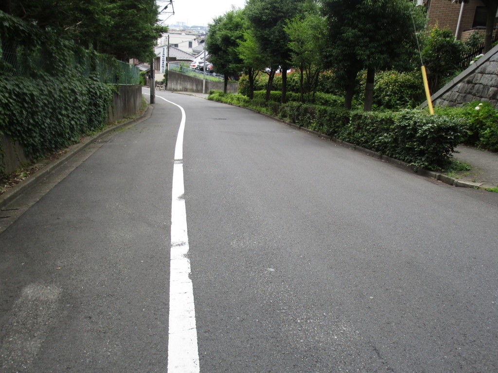 f:id:hideki-sansho:20180617182649j:plain f:id:hideki-sansho:20180617182649j:plain