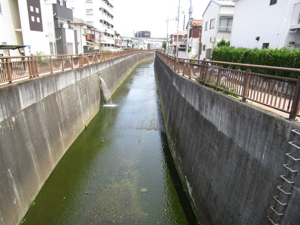 f:id:hideki-sansho:20180622185018j:plain f:id:hideki-sansho:20180622185018j:plain