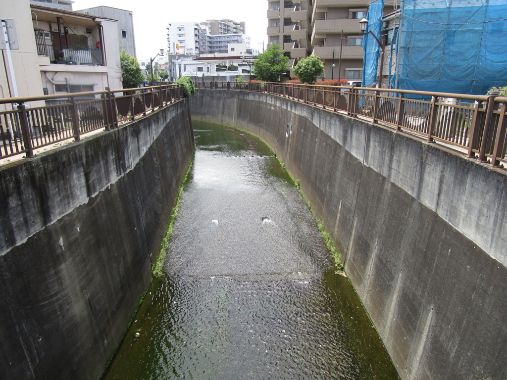 f:id:hideki-sansho:20180622185258j:plain f:id:hideki-sansho:20180622185258j:plain