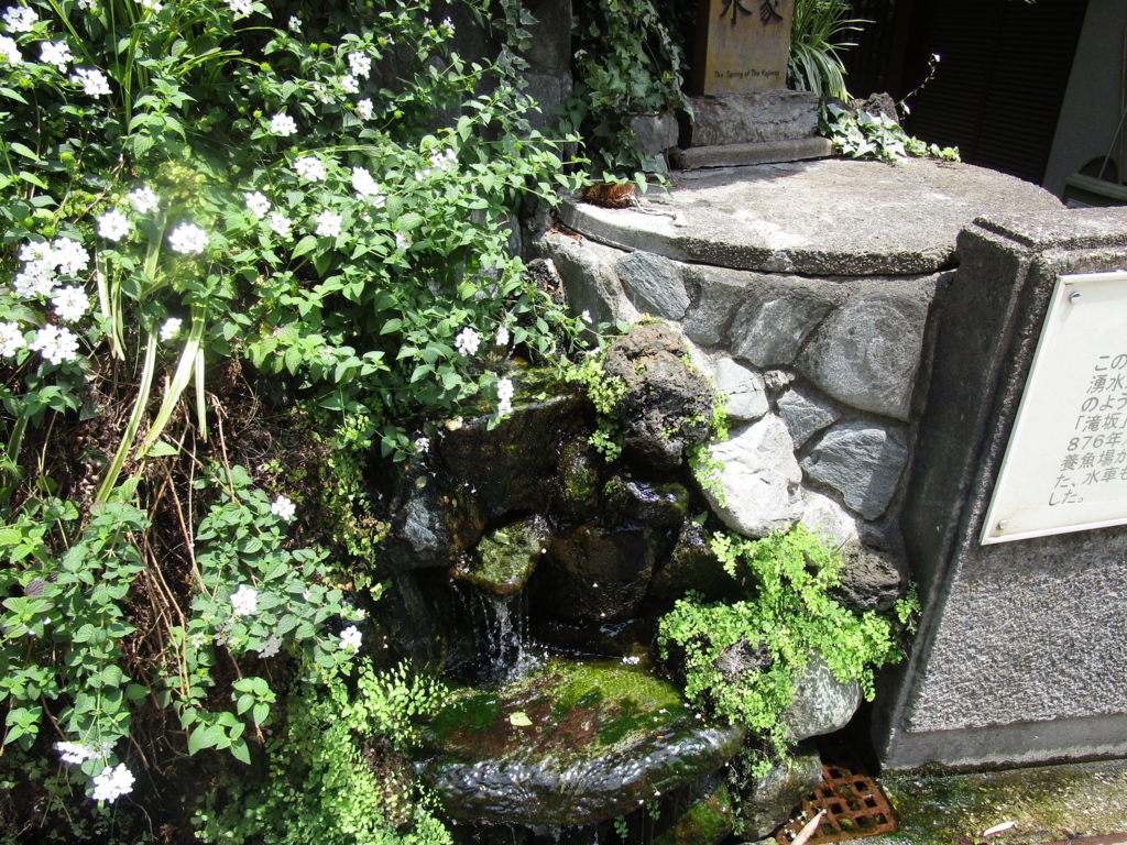 f:id:hideki-sansho:20180622225022j:plain