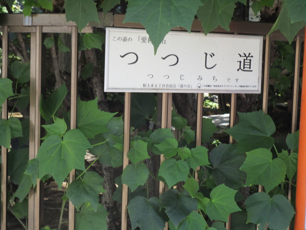 f:id:hideki-sansho:20180702121909j:plain f:id:hideki-sansho:20180702121909j:plain