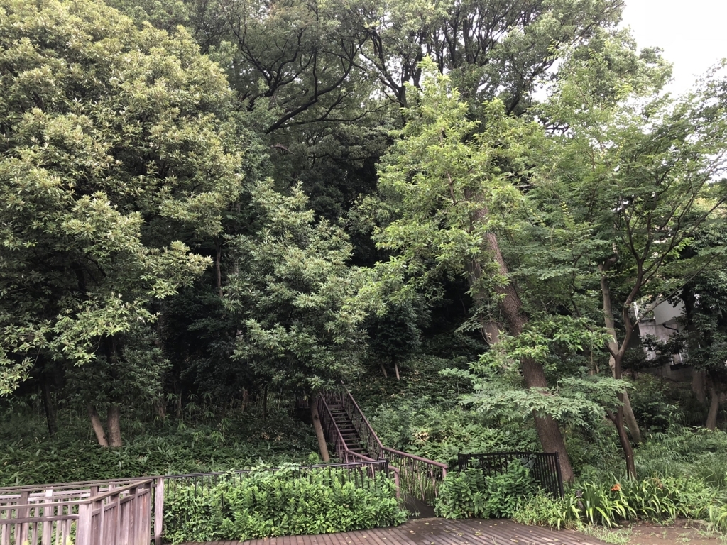 f:id:hideki-sansho:20180712162735j:plain f:id:hideki-sansho:20180712162735j:plain