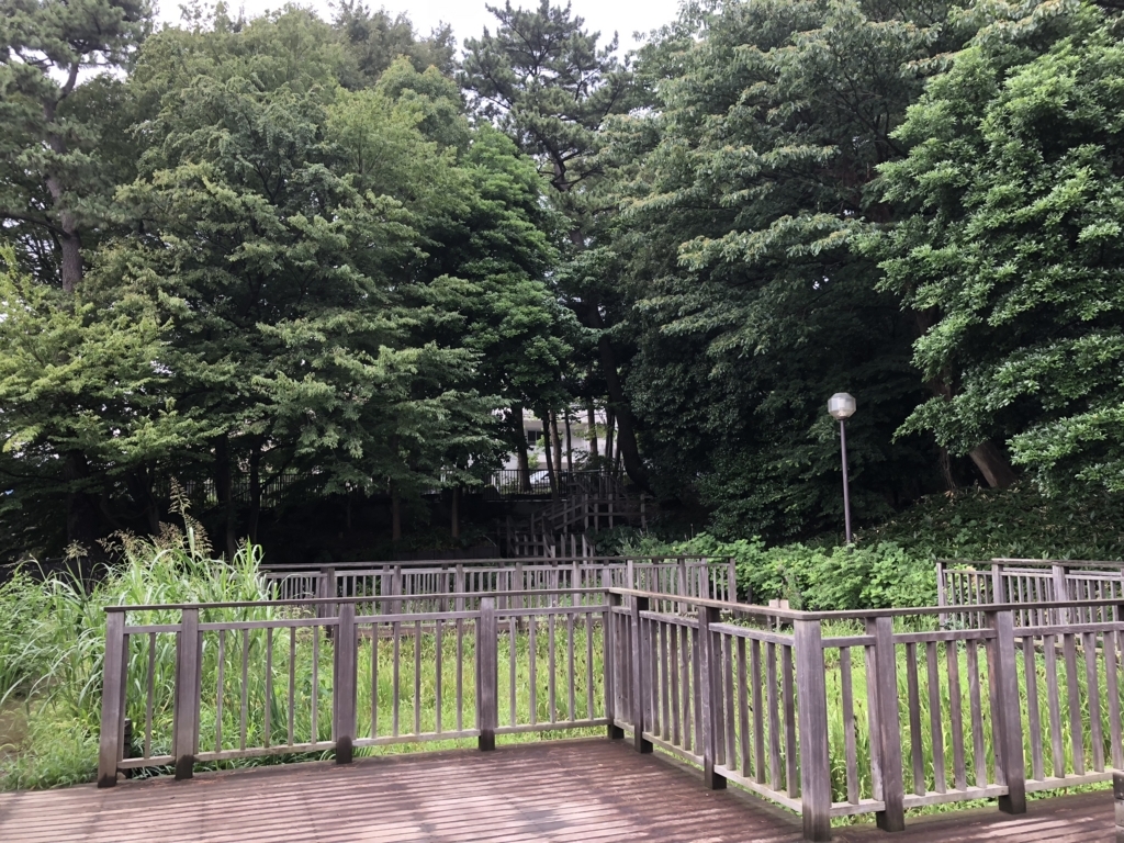 f:id:hideki-sansho:20180712162751j:plain f:id:hideki-sansho:20180712162751j:plain