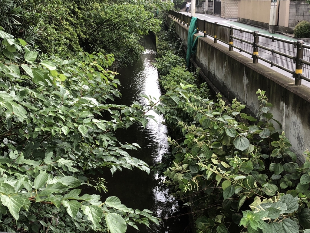 f:id:hideki-sansho:20180712171320j:plain f:id:hideki-sansho:20180712171320j:plain