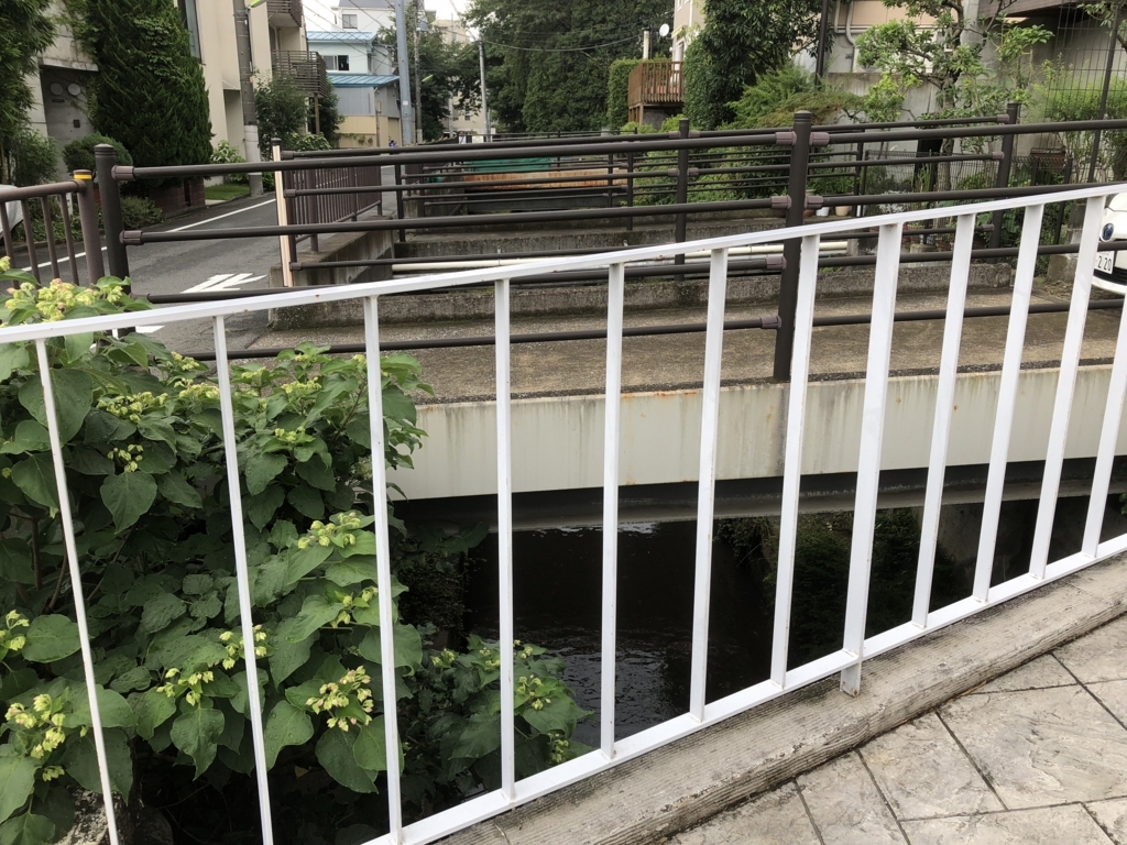 f:id:hideki-sansho:20180712171628j:plain f:id:hideki-sansho:20180712171628j:plain