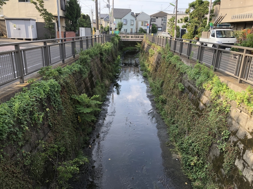f:id:hideki-sansho:20180714123618j:plain f:id:hideki-sansho:20180714123618j:plain