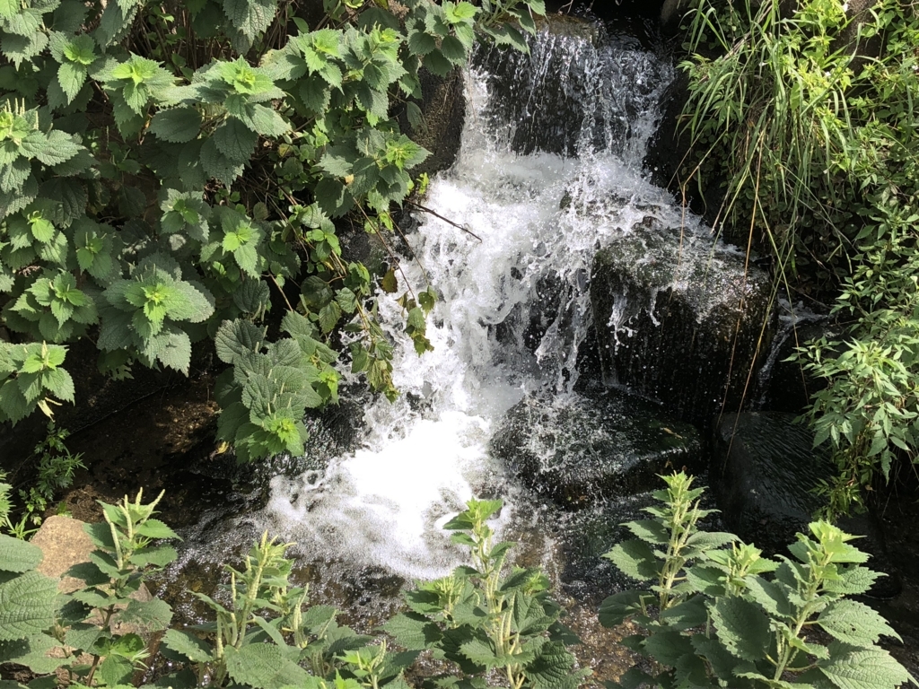 f:id:hideki-sansho:20180714132056j:plain