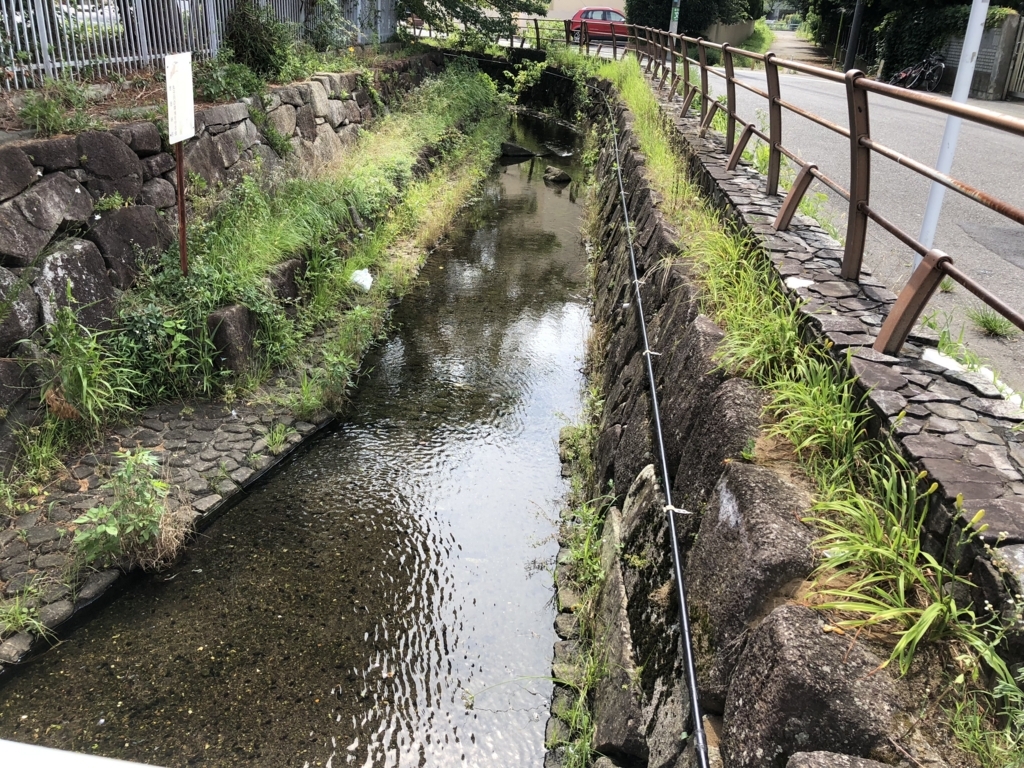 f:id:hideki-sansho:20180714132128j:plain f:id:hideki-sansho:20180714132128j:plain