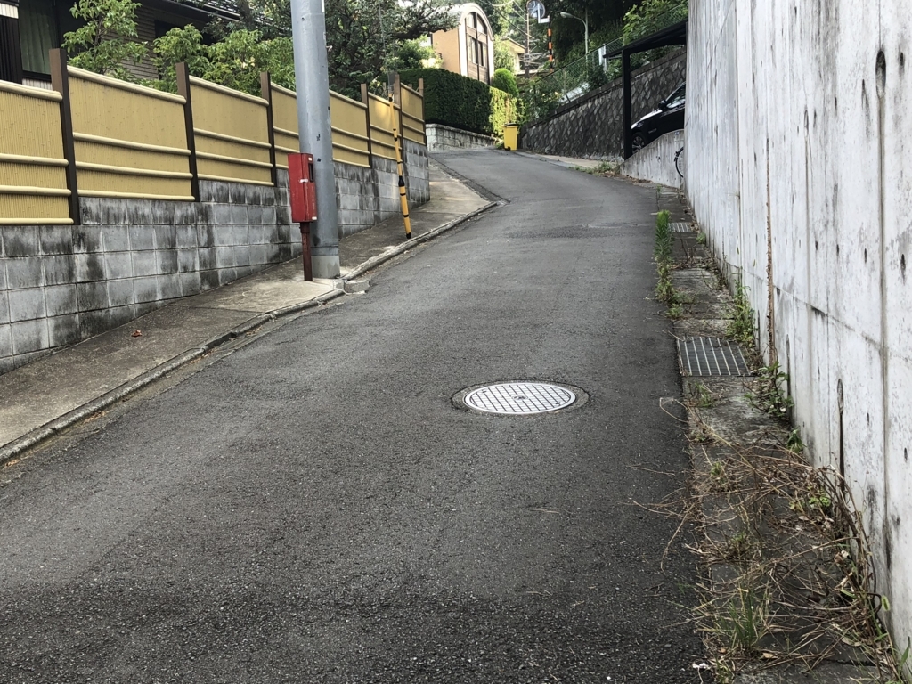 f:id:hideki-sansho:20180717152444j:plain