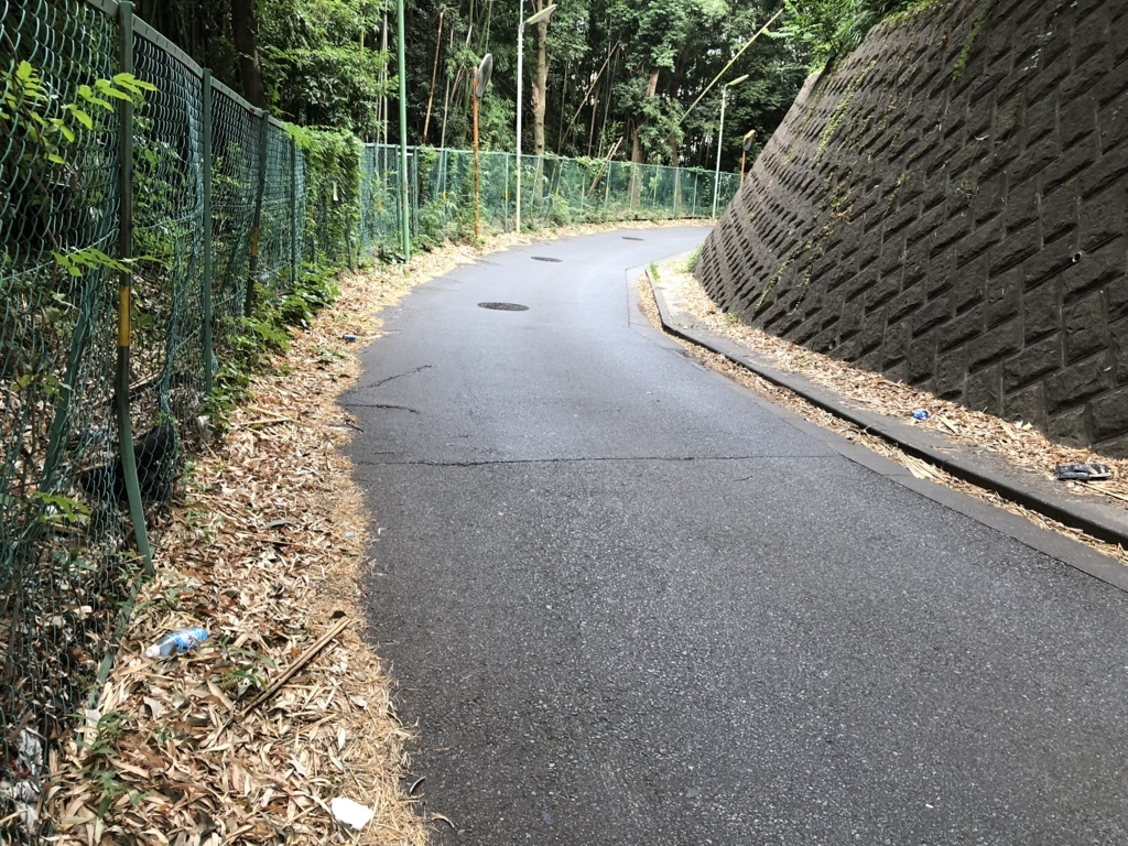 f:id:hideki-sansho:20180724125254j:plain f:id:hideki-sansho:20180724125254j:plain