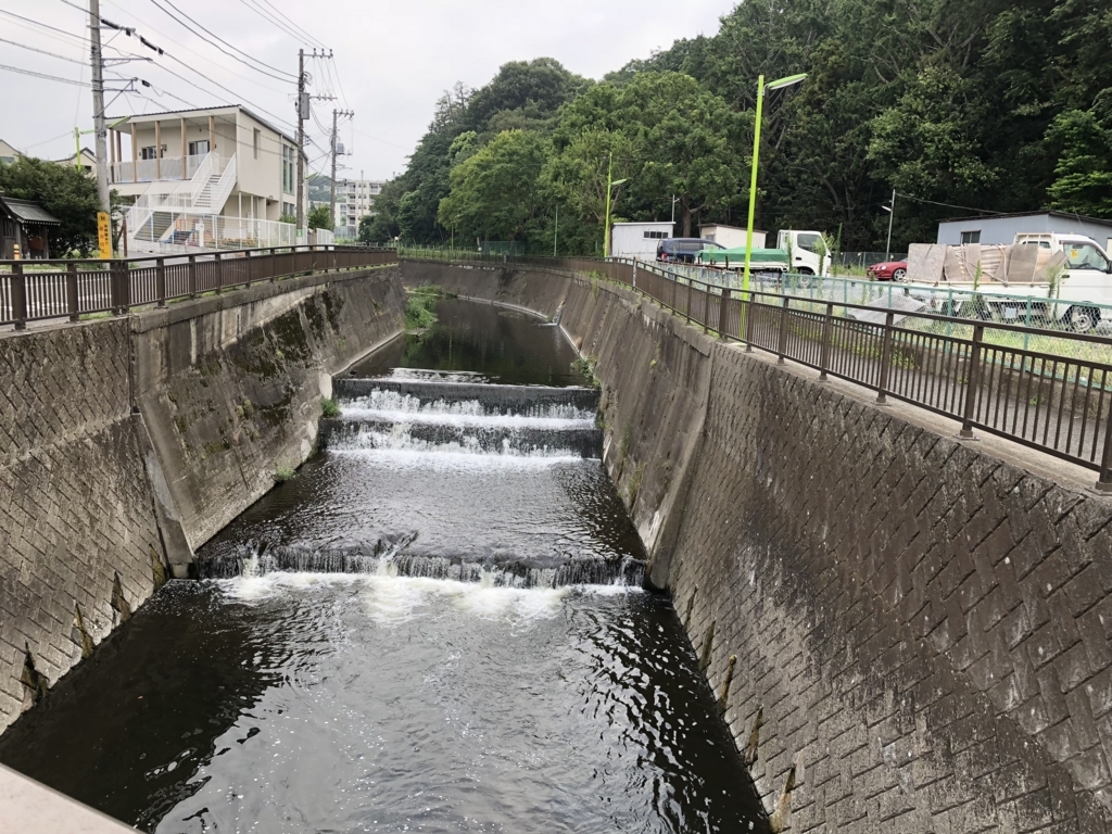 f:id:hideki-sansho:20180724125846j:plain f:id:hideki-sansho:20180724125846j:plain