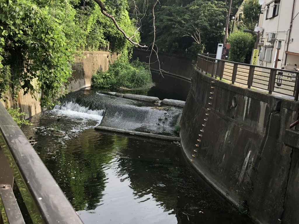 f:id:hideki-sansho:20180724125901j:plain f:id:hideki-sansho:20180724125901j:plain