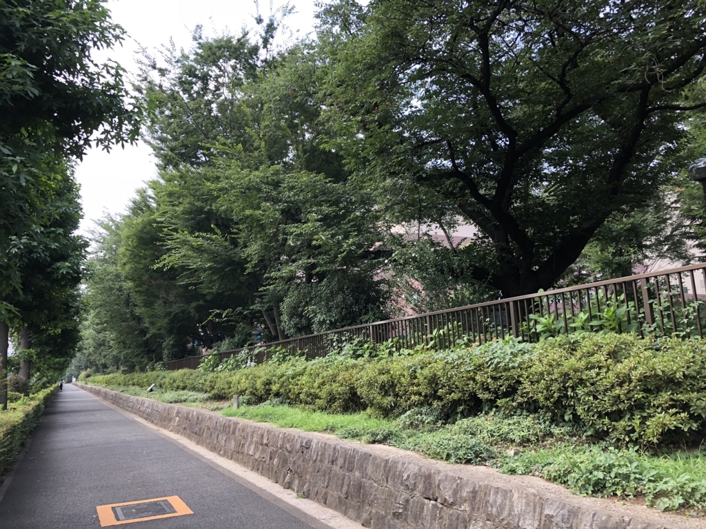 f:id:hideki-sansho:20180724135032j:plain f:id:hideki-sansho:20180724135032j:plain