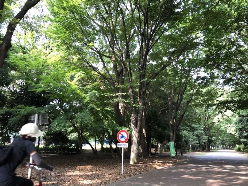 f:id:hideki-sansho:20180724135106j:plain f:id:hideki-sansho:20180724135106j:plain