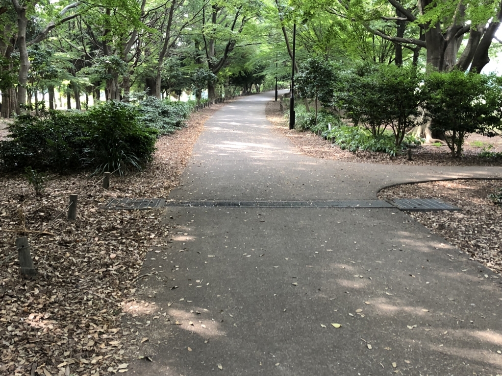 f:id:hideki-sansho:20180724135551j:plain f:id:hideki-sansho:20180724135551j:plain