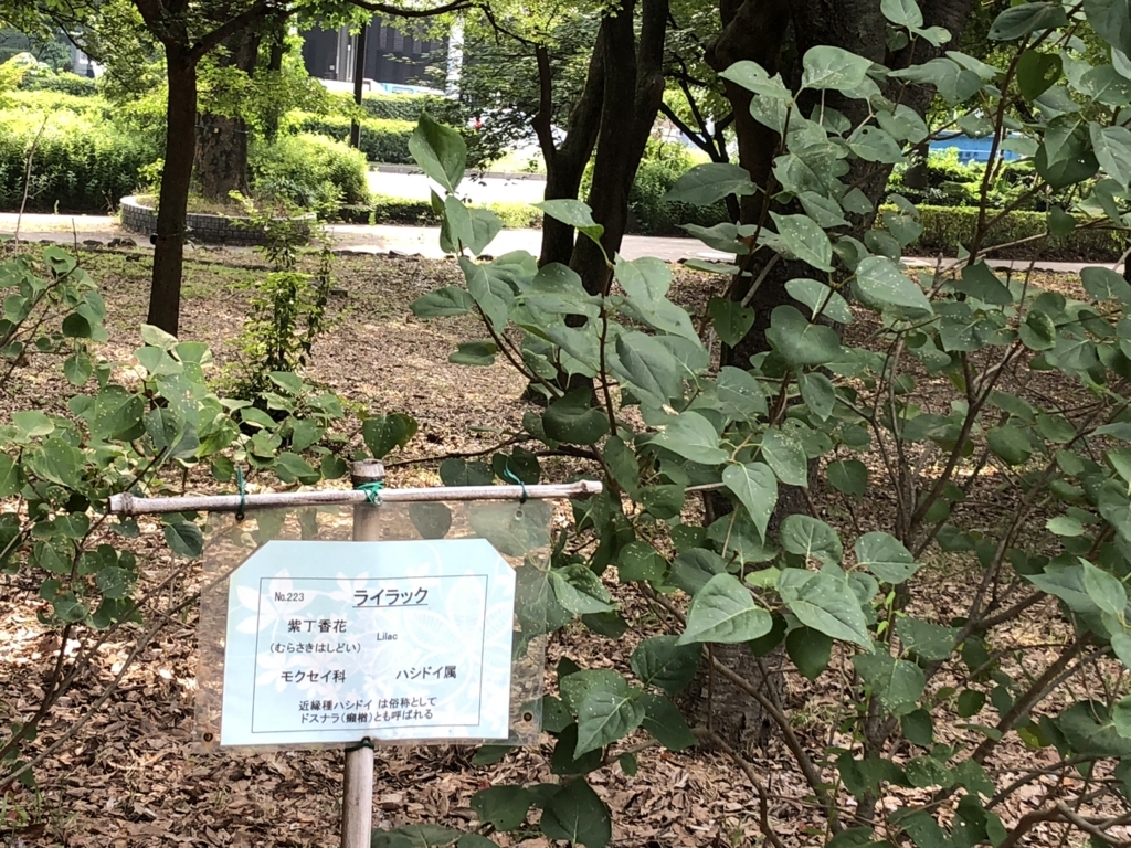 f:id:hideki-sansho:20180724140806j:plain f:id:hideki-sansho:20180724140806j:plain