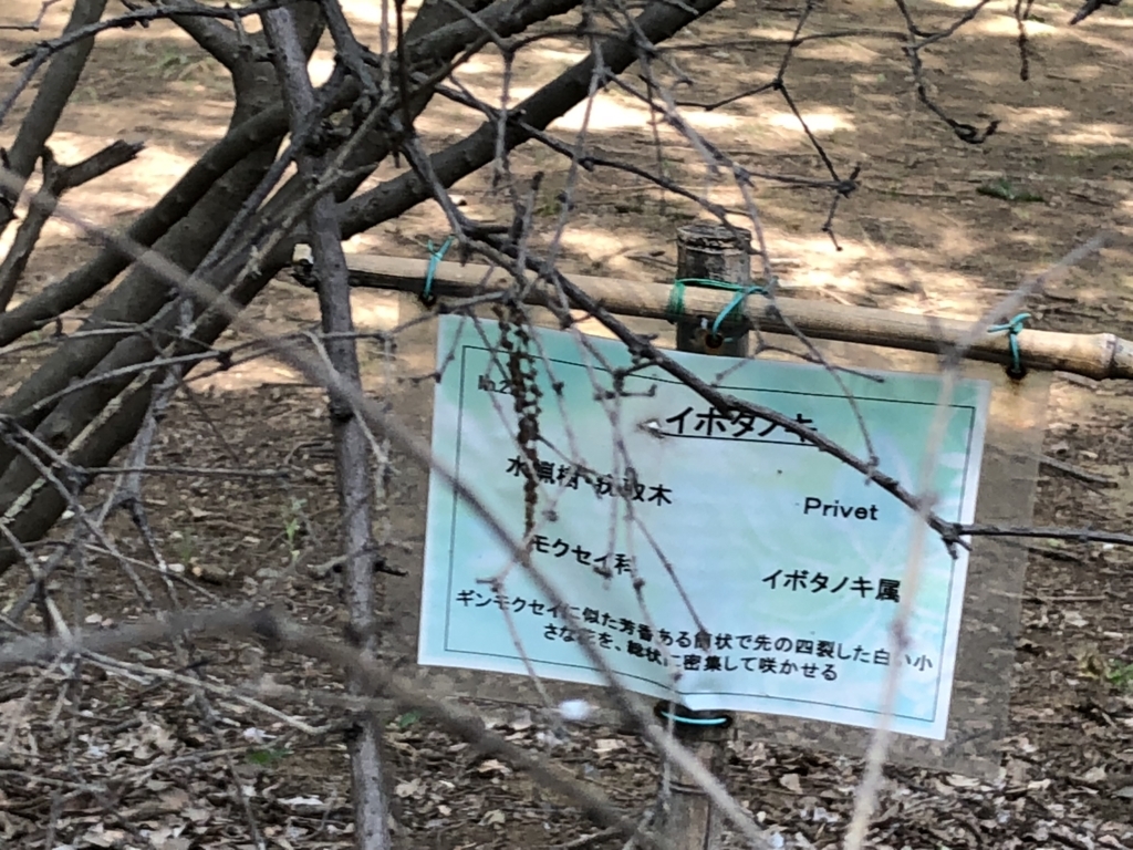 f:id:hideki-sansho:20180724140834j:plain f:id:hideki-sansho:20180724140834j:plain