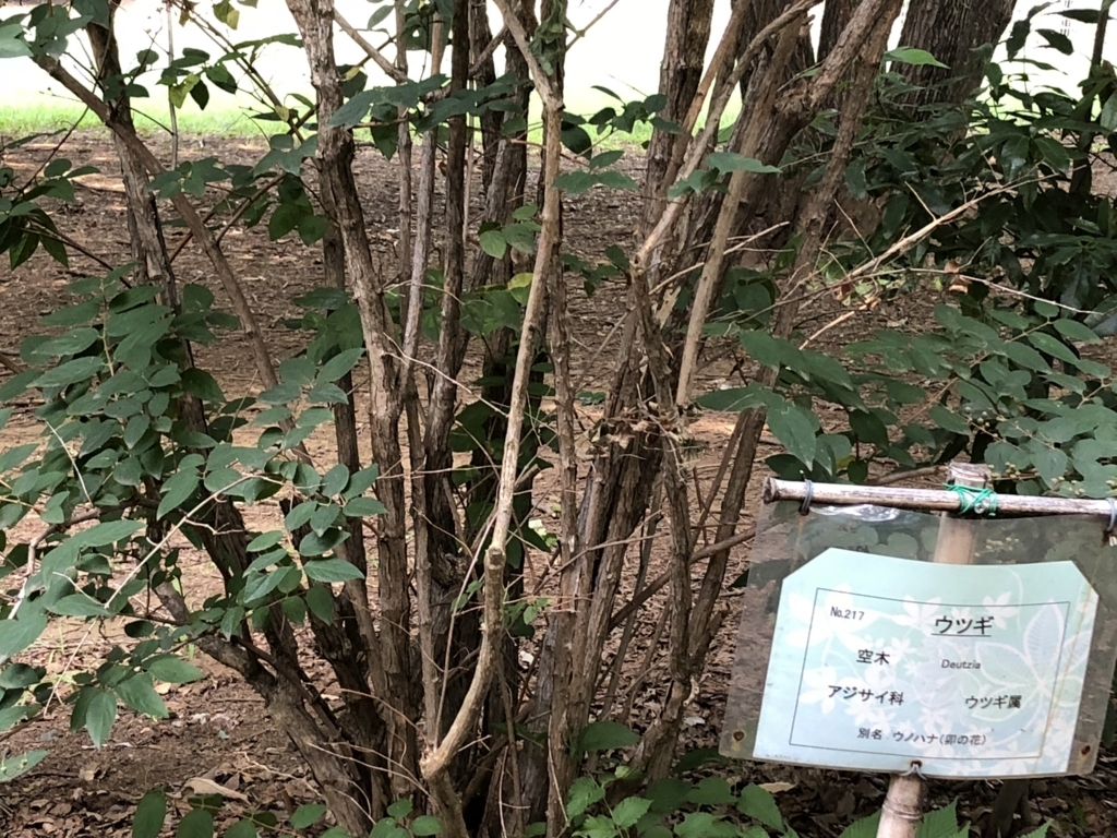 f:id:hideki-sansho:20180724140847j:plain f:id:hideki-sansho:20180724140847j:plain
