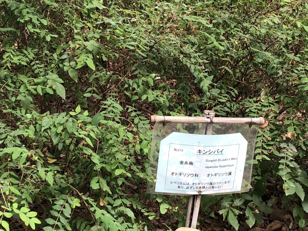 f:id:hideki-sansho:20180724140924j:plain f:id:hideki-sansho:20180724140924j:plain