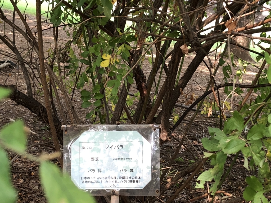f:id:hideki-sansho:20180724140938j:plain f:id:hideki-sansho:20180724140938j:plain
