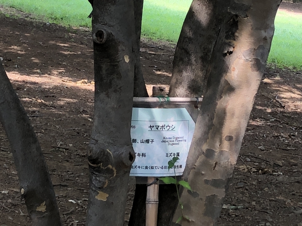 f:id:hideki-sansho:20180724140957j:plain f:id:hideki-sansho:20180724140957j:plain