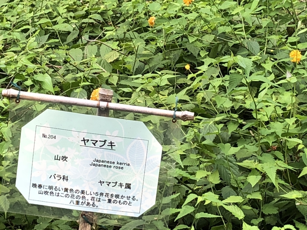 f:id:hideki-sansho:20180724141013j:plain f:id:hideki-sansho:20180724141013j:plain