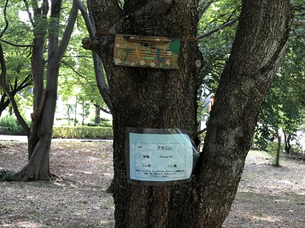 f:id:hideki-sansho:20180724141028j:plain f:id:hideki-sansho:20180724141028j:plain