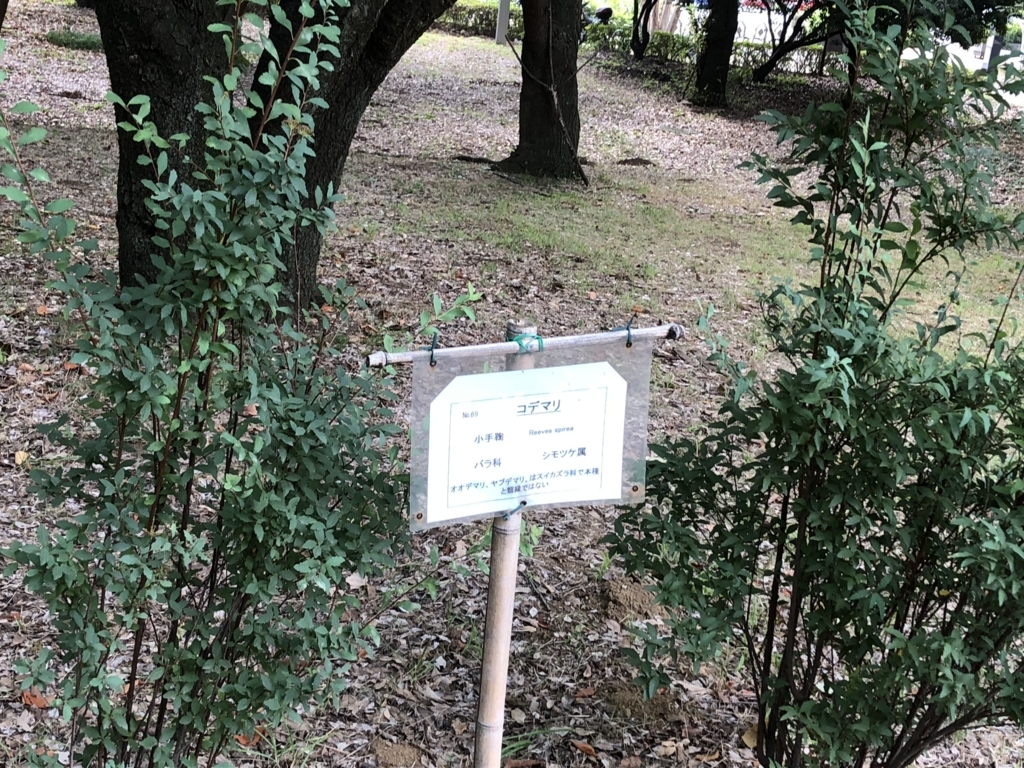 f:id:hideki-sansho:20180724141046j:plain f:id:hideki-sansho:20180724141046j:plain